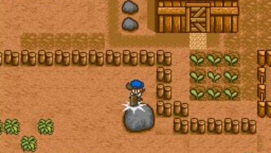 Скриншот 7 из Harvest Moon
