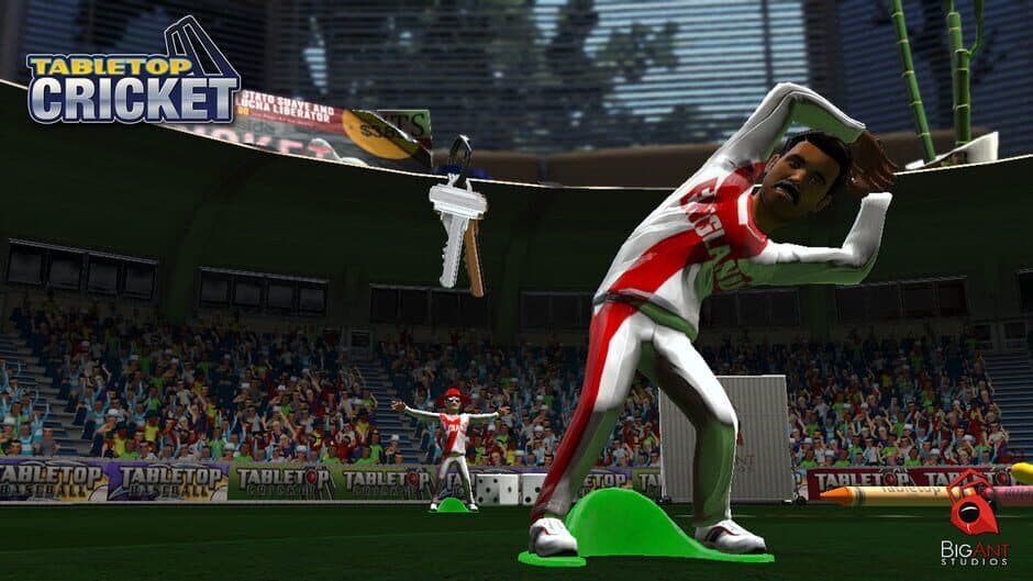 Скриншот 1 из TableTop Cricket