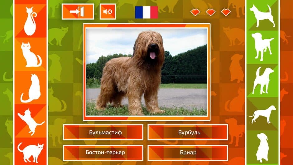 Скриншот 3 из JQ: dogs & cats