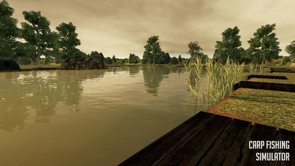 Скриншот 5 из Carp Fishing Simulator