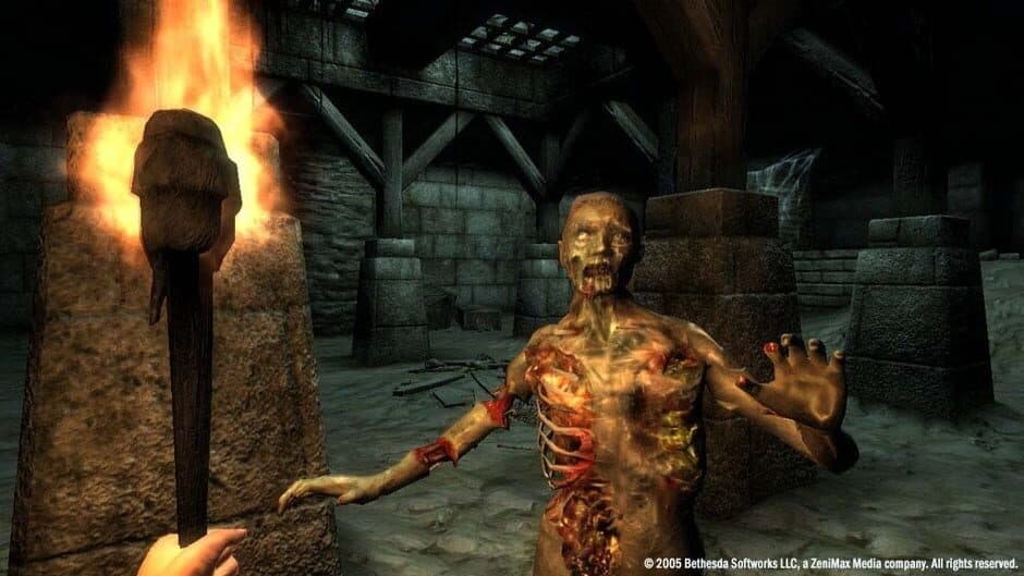 Скриншот 2 из The Elder Scrolls IV: Oblivion - Game of the Year Edition Deluxe