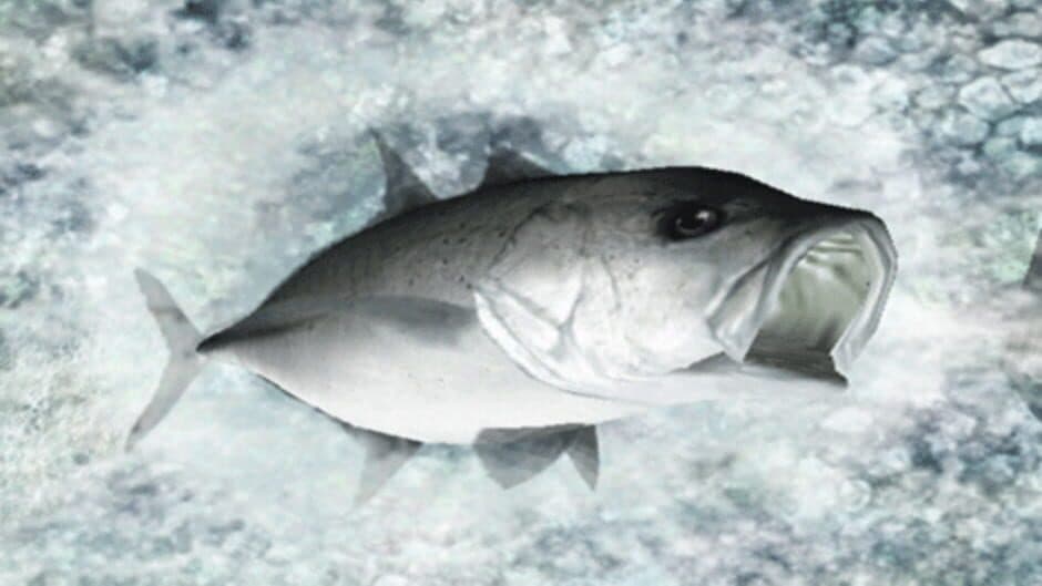 Скриншот 2 из Reel Fishing: Ocean Challenge