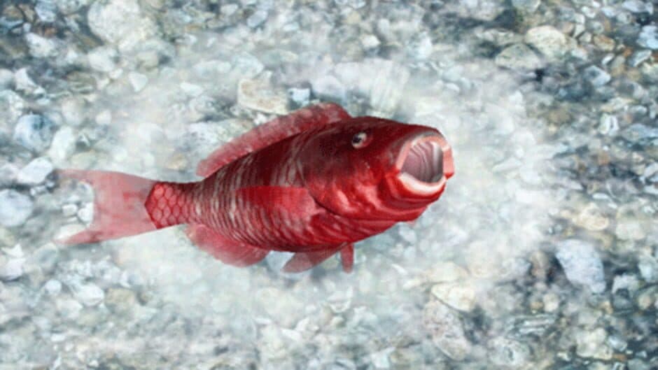 Скриншот 3 из Reel Fishing: Ocean Challenge