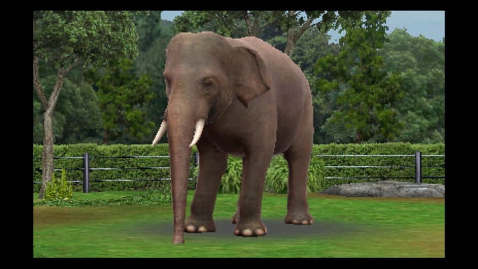 Скриншот 2 из Zoo Resort 3D