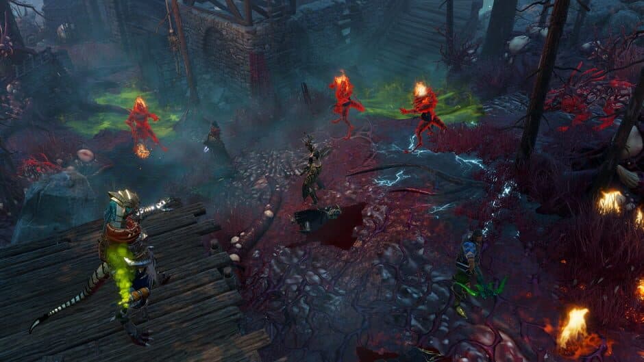 Скриншот 2 из Divinity: Original Sin II - Definitive Edition