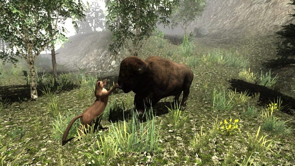 Скриншот 4 из Untamed: Life of a Cougar