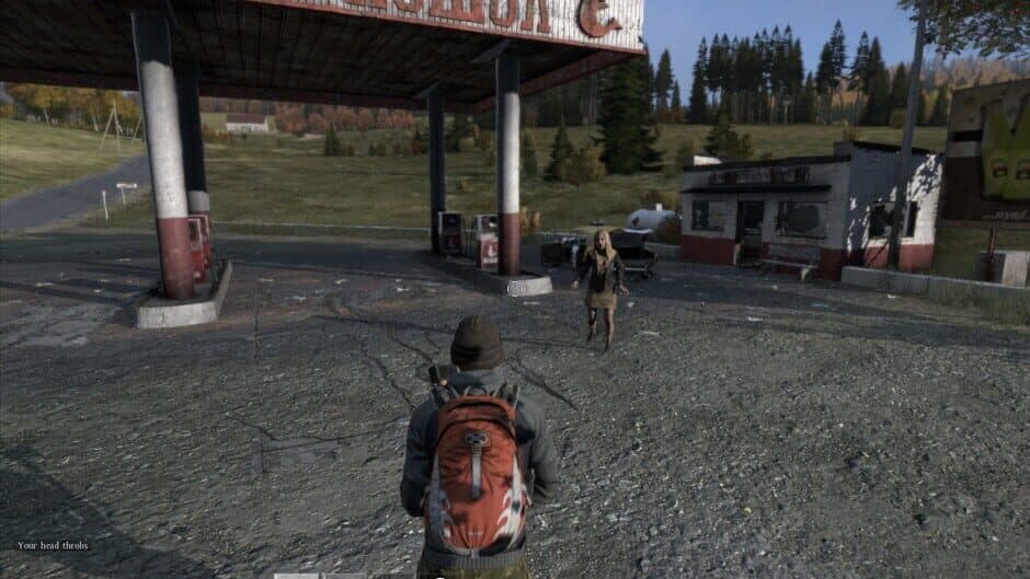 Скриншот 1 из DayZ