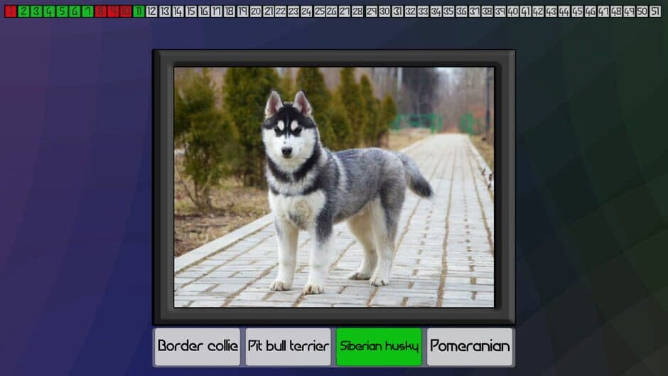 Скриншот 2 из Test your knowledge: Dogs