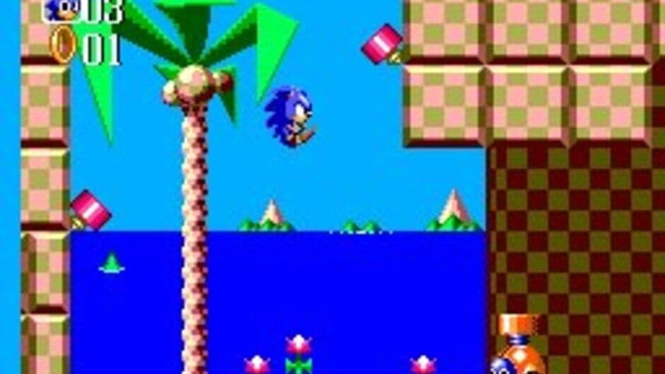 Скриншот 6 из Sonic the Hedgehog Chaos