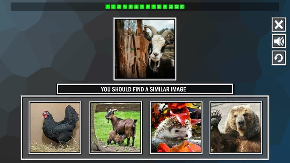 Скриншот 1 из Repeat the image: Animals