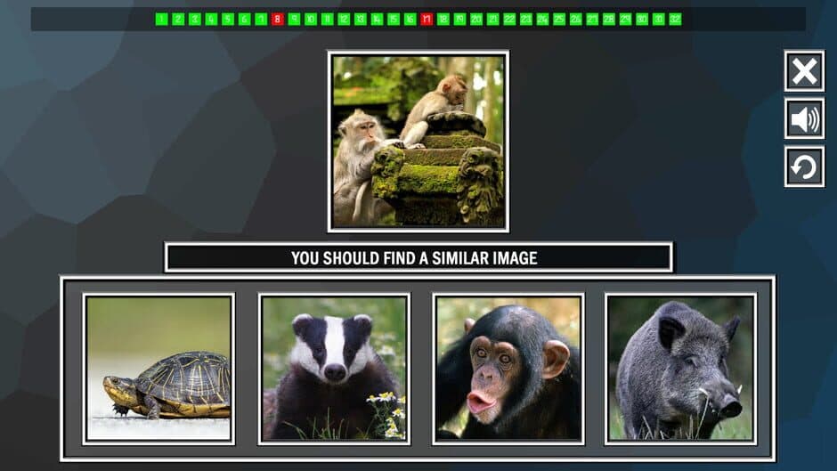 Скриншот 4 из Repeat the image: Animals