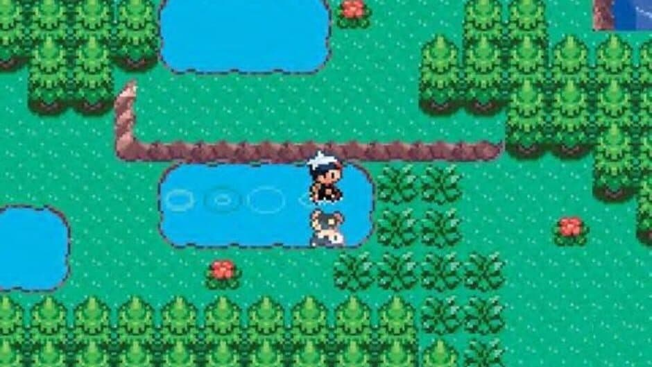 Скриншот 1 из Pokémon Sapphire Version
