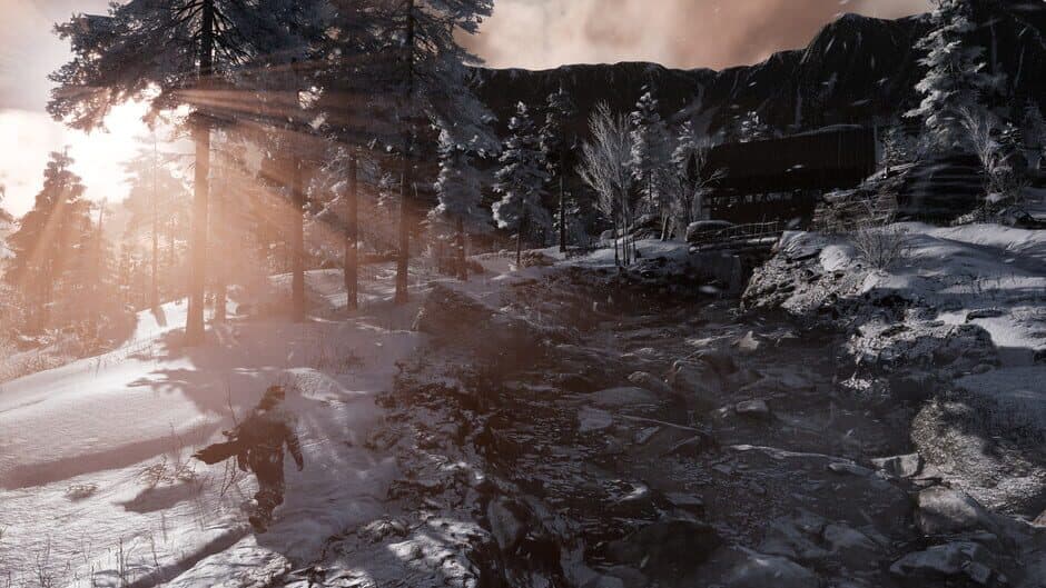 Скриншот 2 из Fade to Silence