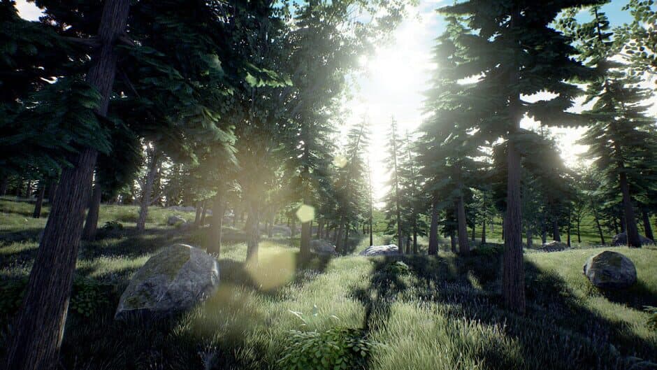 Скриншот 5 из The Lost Island