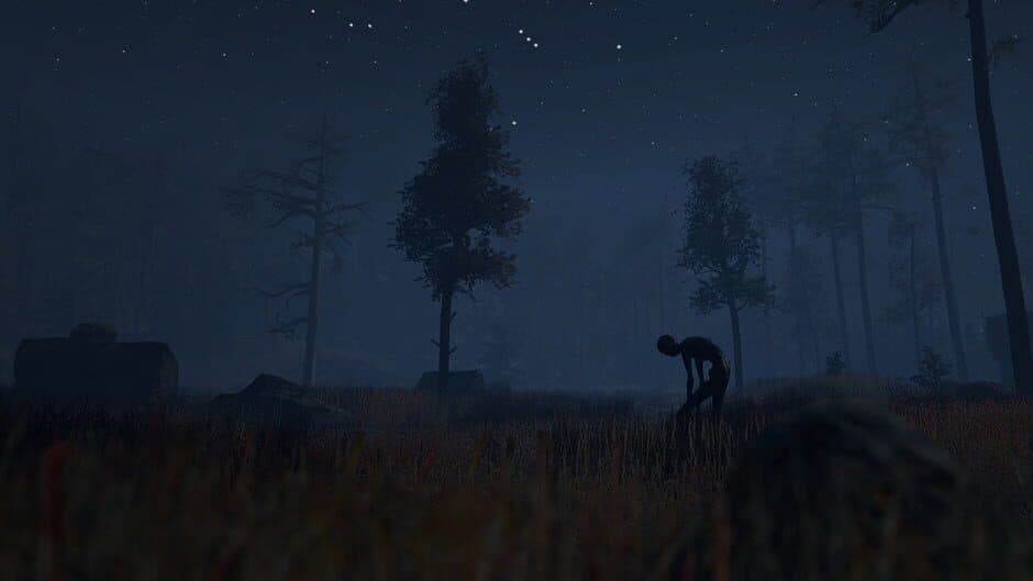 Скриншот 1 из Through the Woods