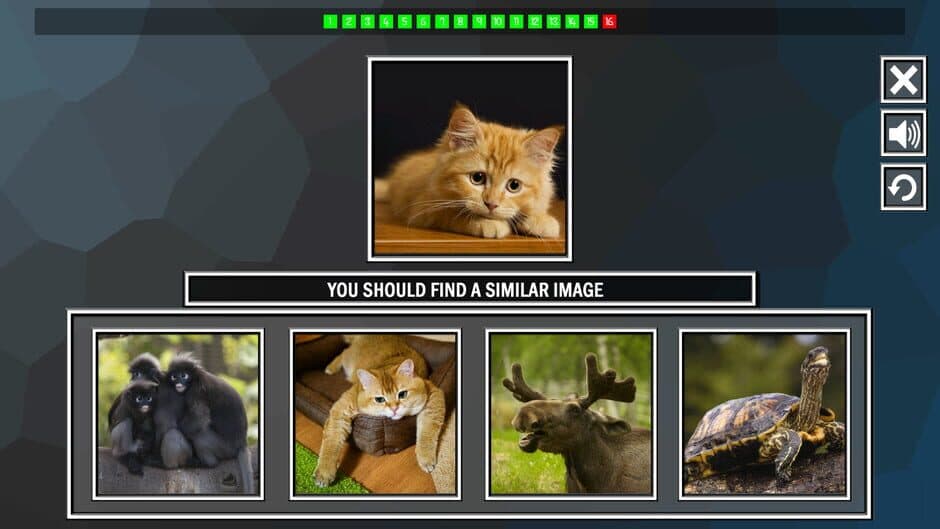 Скриншот 5 из Repeat the image: Animals