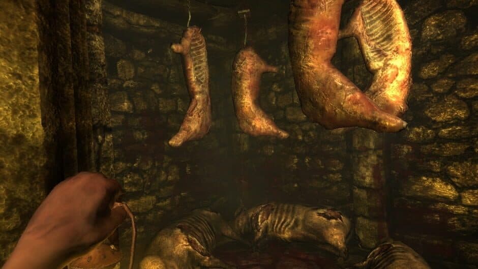 Скриншот 2 из Amnesia: Collection