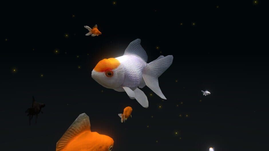 Скриншот 1 из VR Aquarium Miyabi