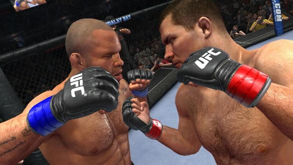 Скриншот 1 из UFC Undisputed 2010