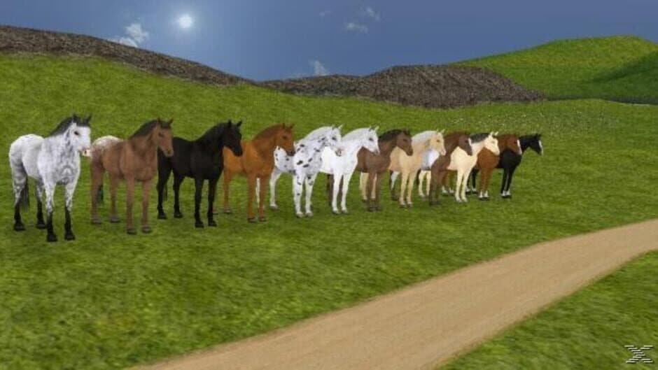 Скриншот 2 из Horse Life 4