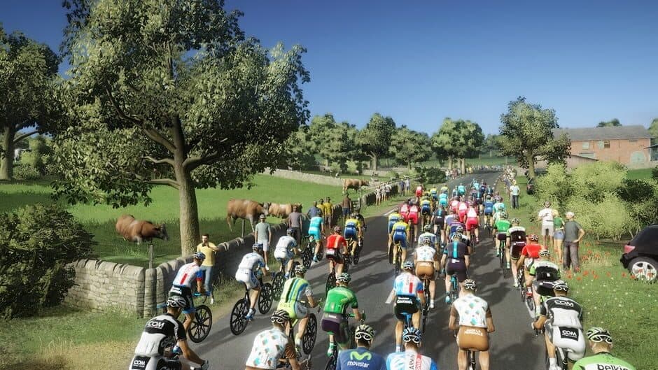 Скриншот 6 из Tour de France 2014