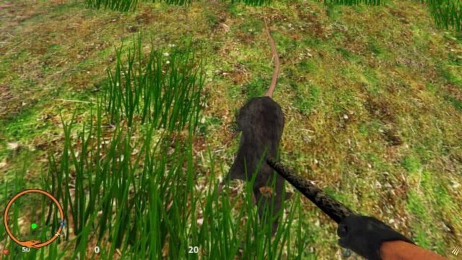 Скриншот 3 из The Jungle