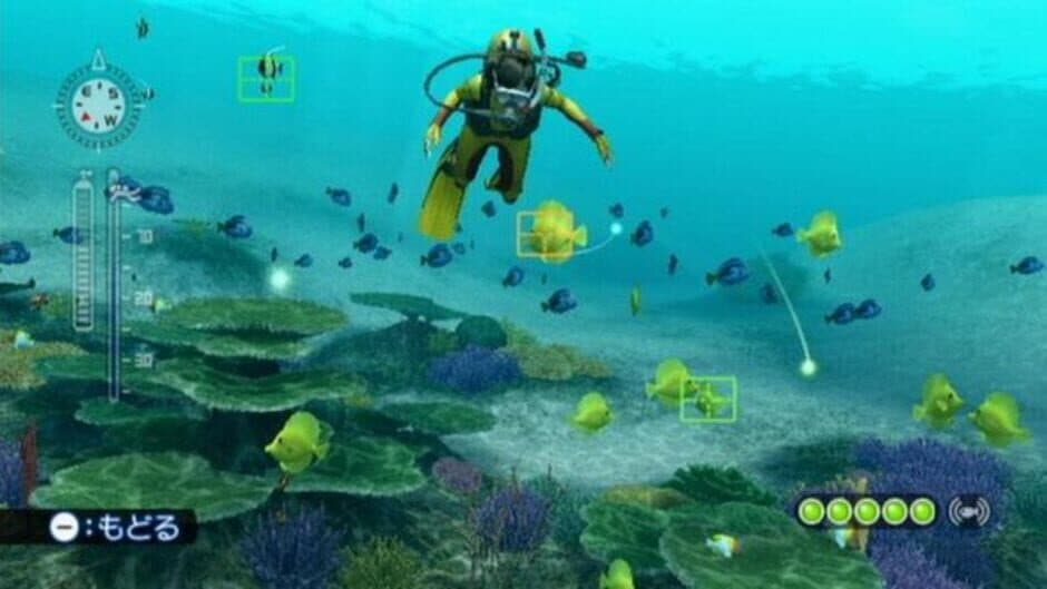 Скриншот 2 из Endless Ocean: Blue World