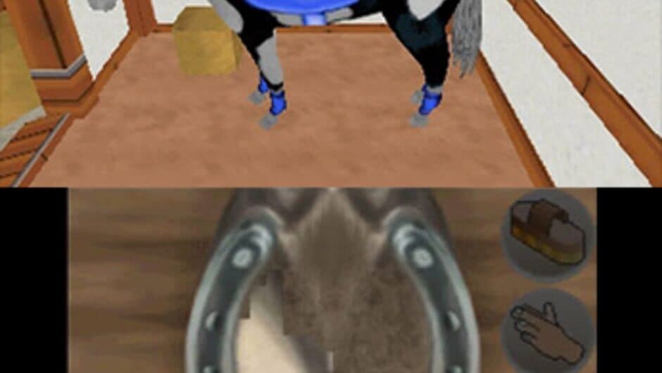 Скриншот 3 из Riding Star 3D: Champion in Sattle