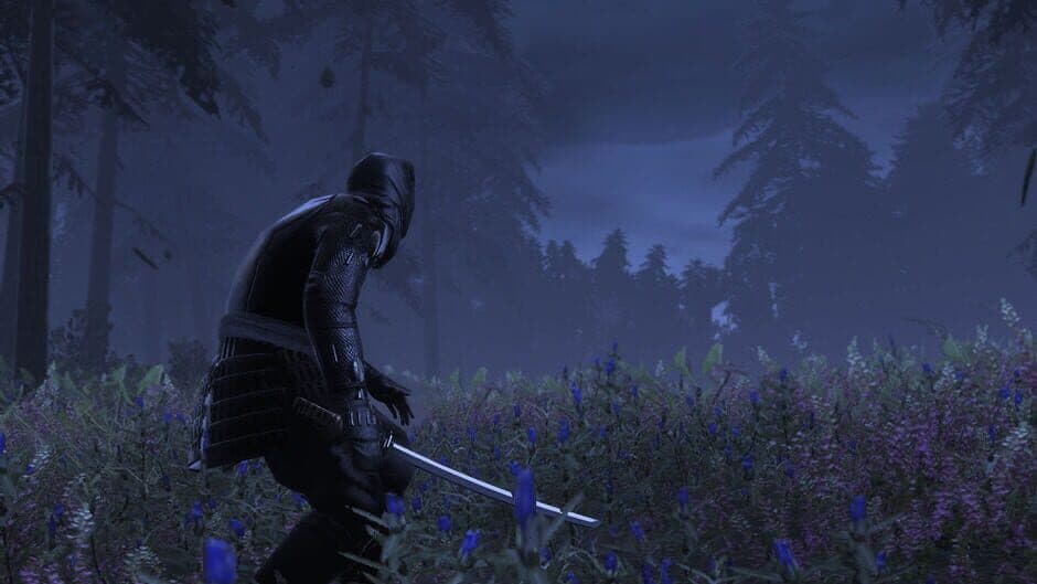 Скриншот 4 из Total War: Shogun 2 - The Hattori Clan Pack