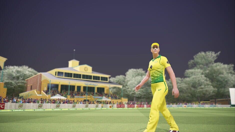 Скриншот 4 из Ashes Cricket