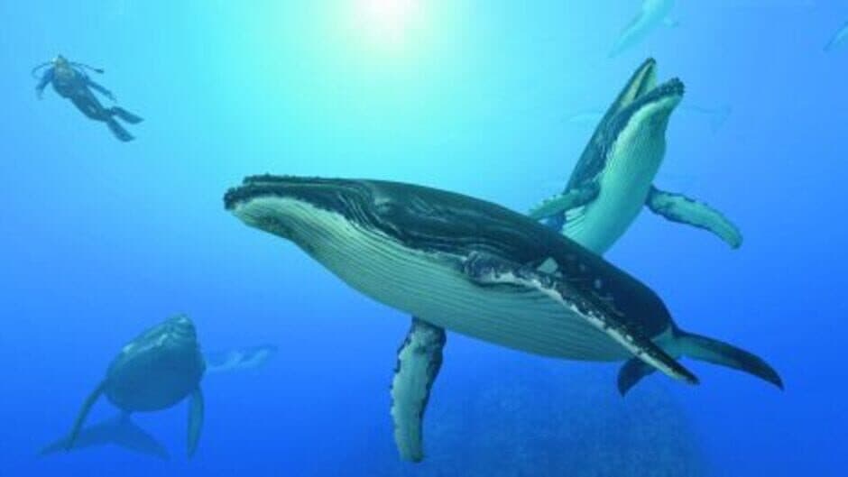 Скриншот 1 из Endless Ocean: Blue World