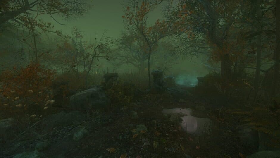 Скриншот 1 из The Cursed Forest