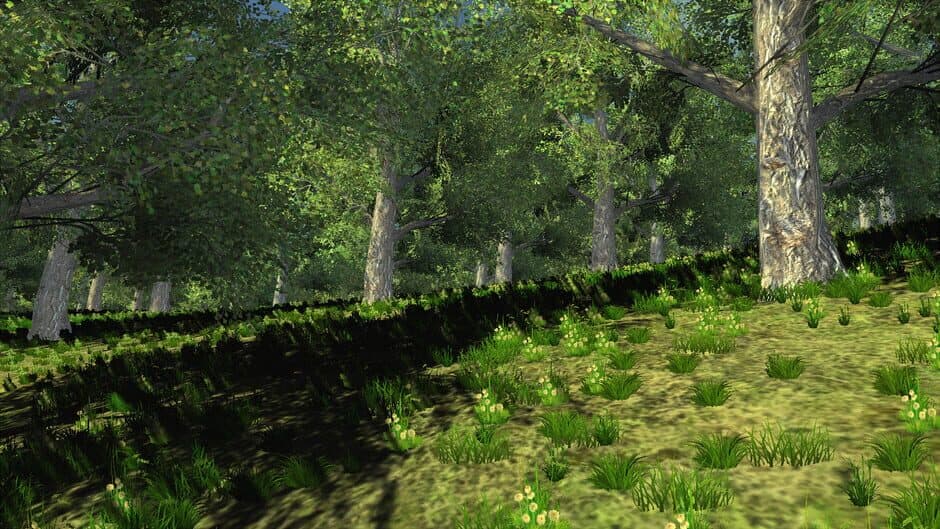 Скриншот 2 из Trials of Wilderness