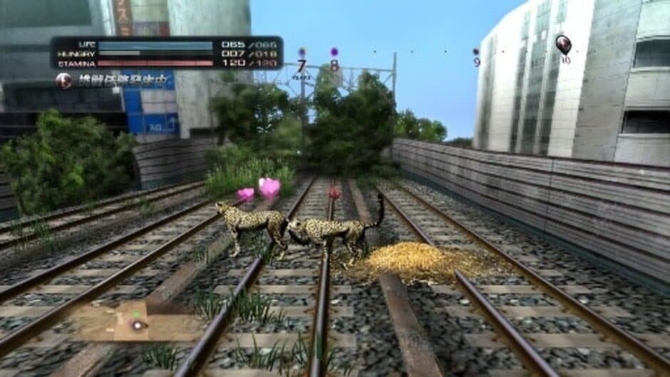 Скриншот 3 из Tokyo Jungle