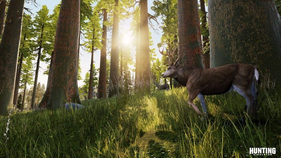 Скриншот 4 из Hunting Simulator