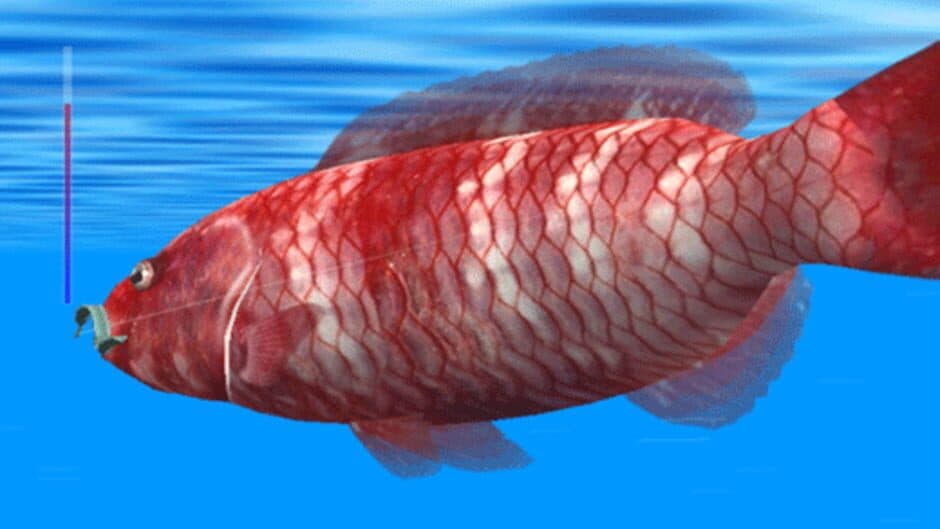 Скриншот 6 из Reel Fishing: Ocean Challenge