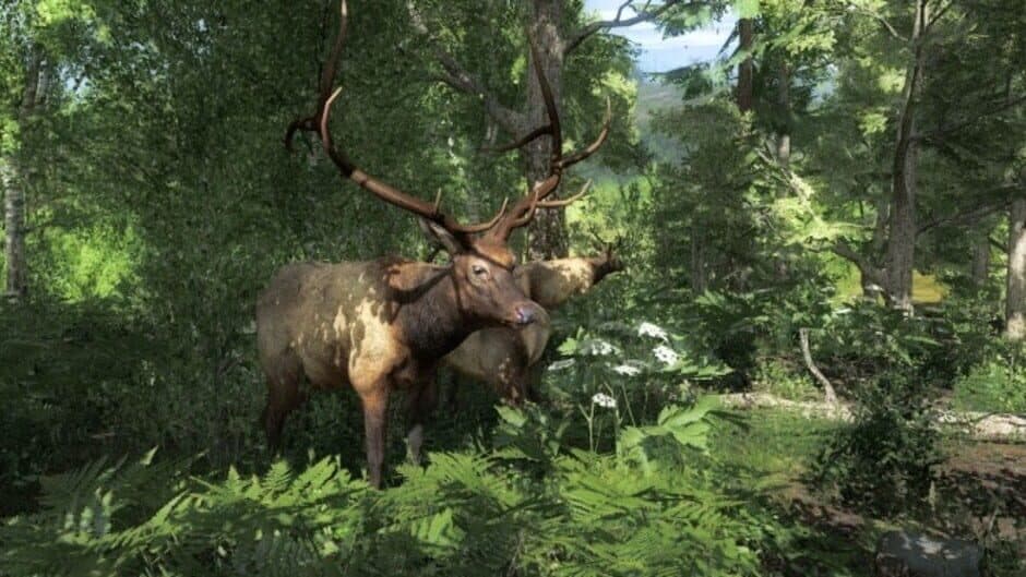 Скриншот 4 из TheHunter Classic