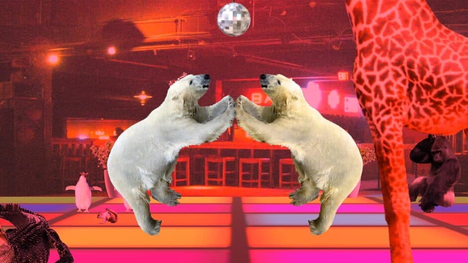 Скриншот 2 из Disco Bear