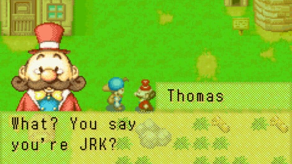 Скриншот 4 из Harvest Moon: Friends of Mineral Town