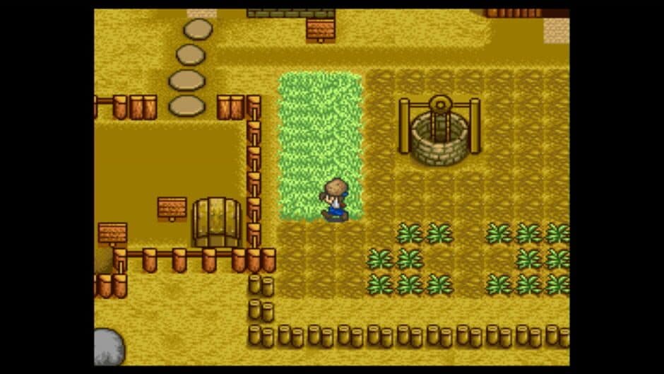 Скриншот 2 из Harvest Moon