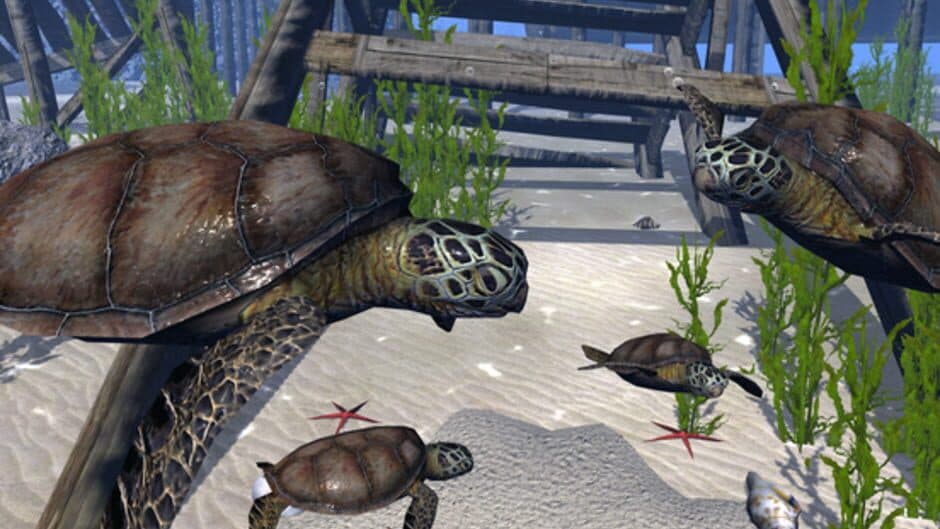 Скриншот 6 из Ultimate Ocean Simulator
