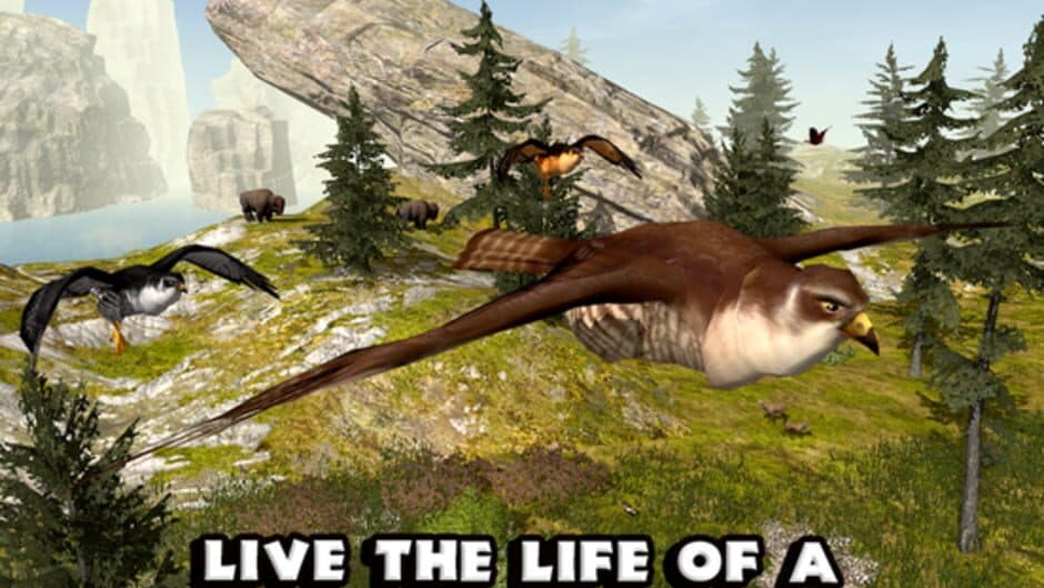 Скриншот 2 из Falcon Simulator