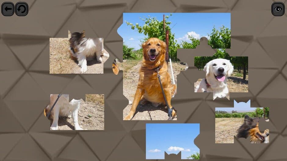 Скриншот 4 из Puzzles for smart: Dogs