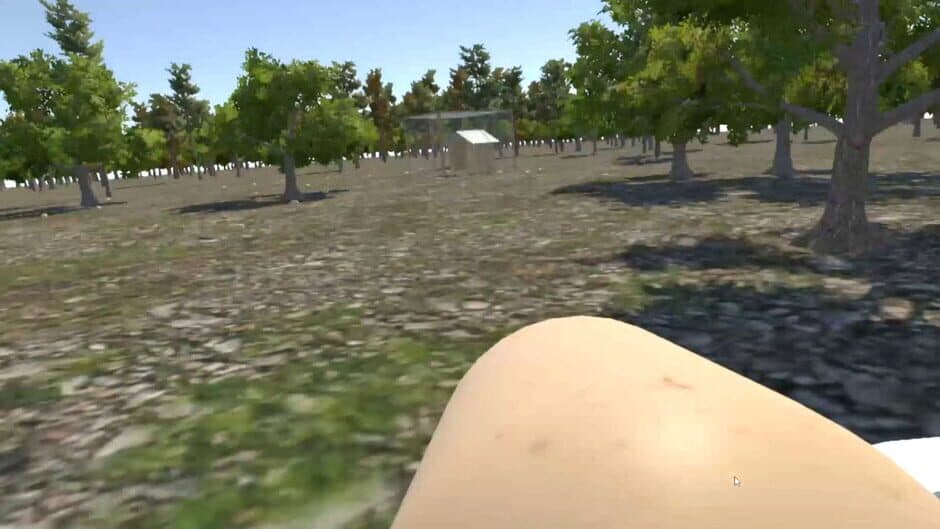 Скриншот 2 из Chicken VR
