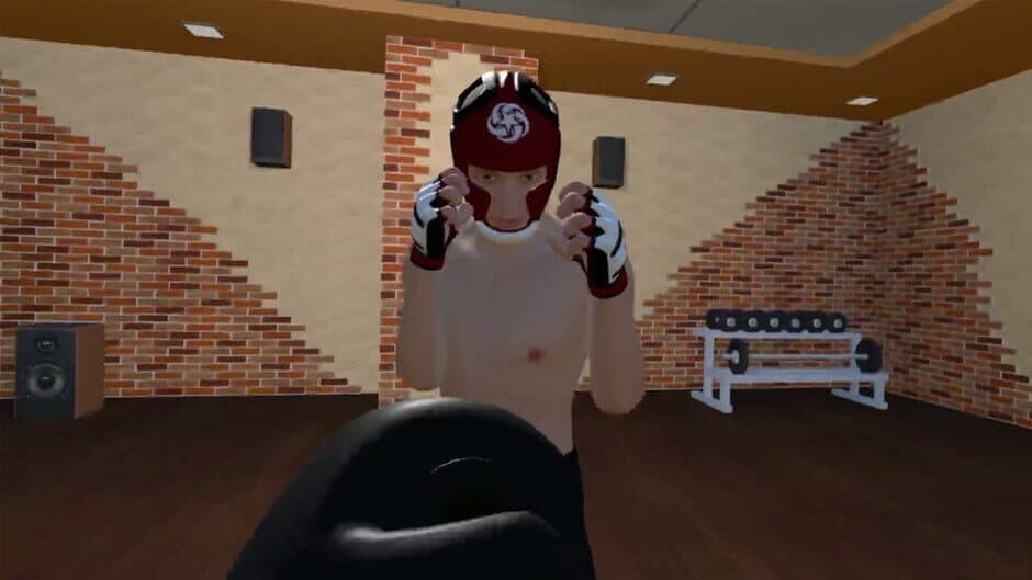 Скриншот 1 из Fight Sparring VR