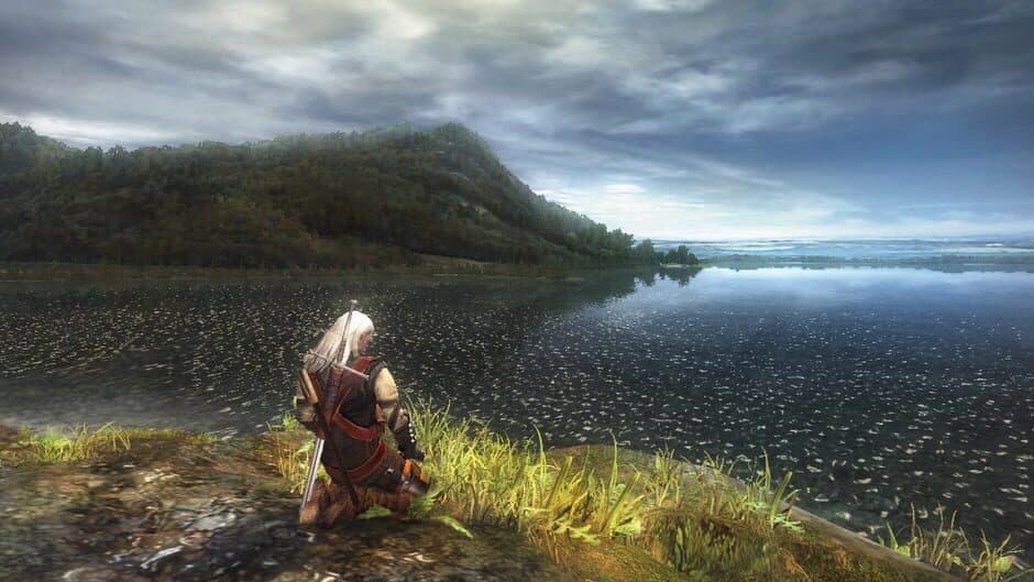 Скриншот 4 из The Witcher: Enhanced Edition