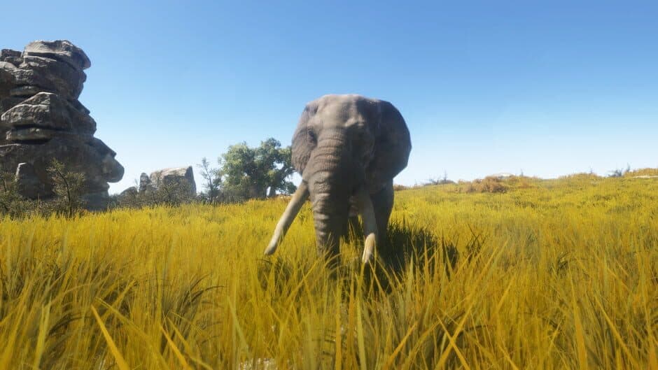 Скриншот 3 из Animallica