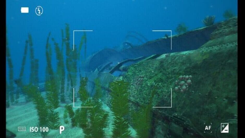 Скриншот 2 из World of Diving