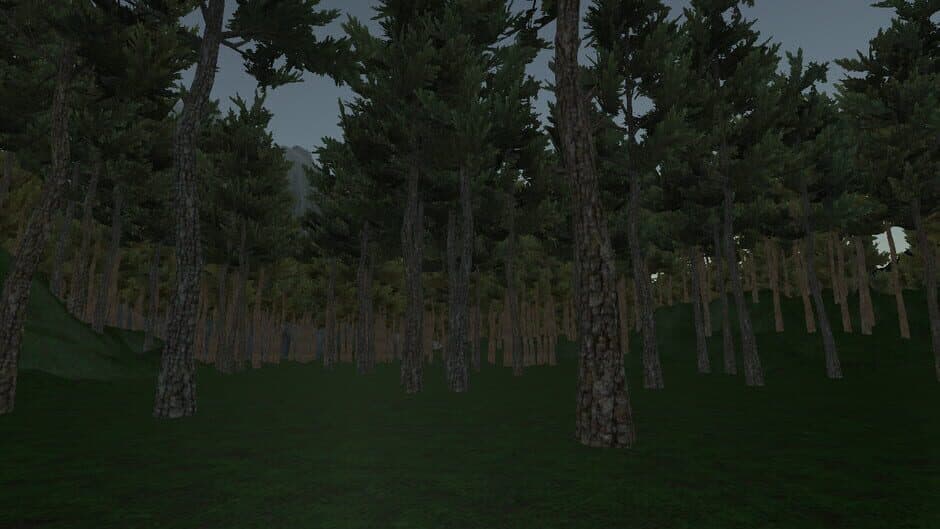 Скриншот 1 из Country Park