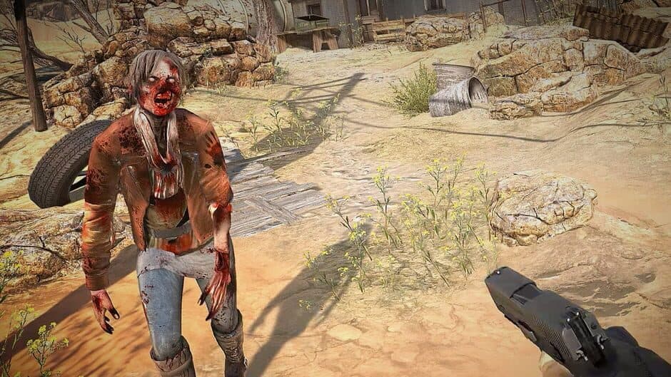 Скриншот 1 из Arizona Sunshine
